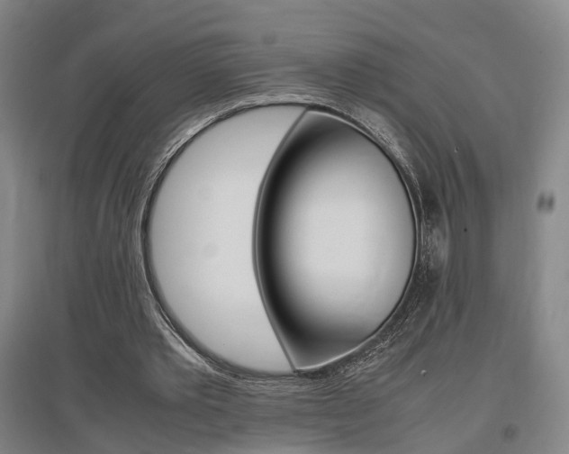 X0000097460389200802220812