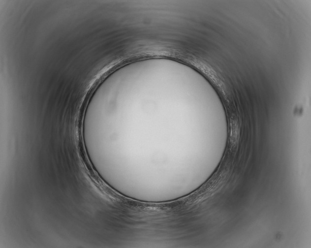X0000097460390200802220812