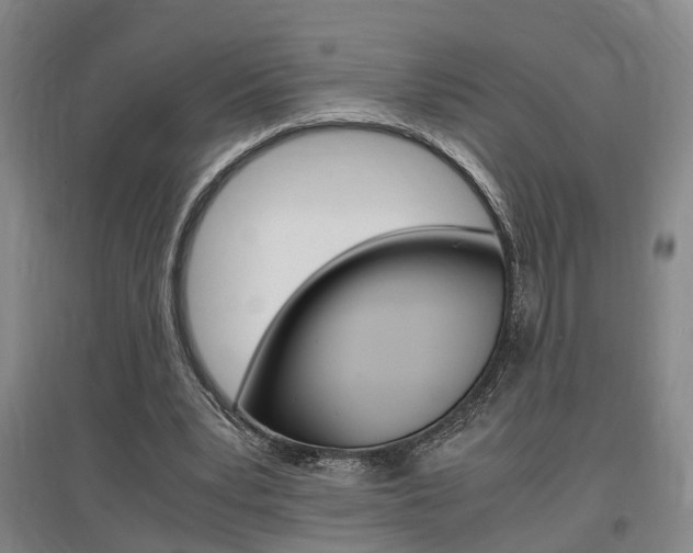 X0000097460391200802220812
