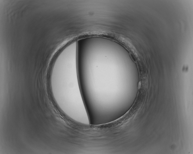 X0000097460395200802220812