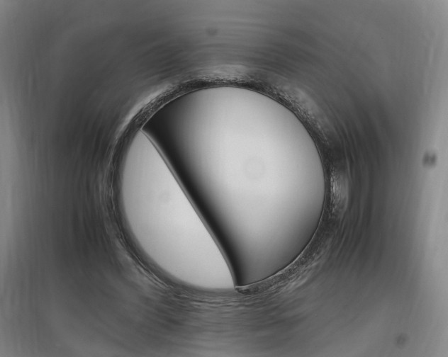 X0000097460396200802220812