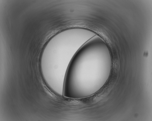 X0000097460397200802220812
