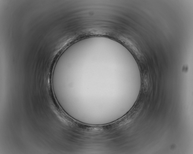 X0000097460398200802220812