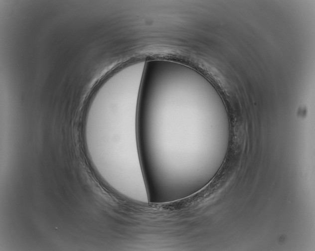 X0000097460399200802220811