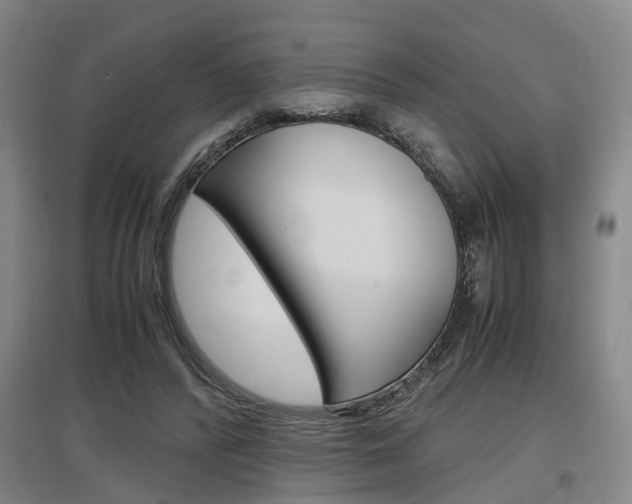 X0000097460400200802220811