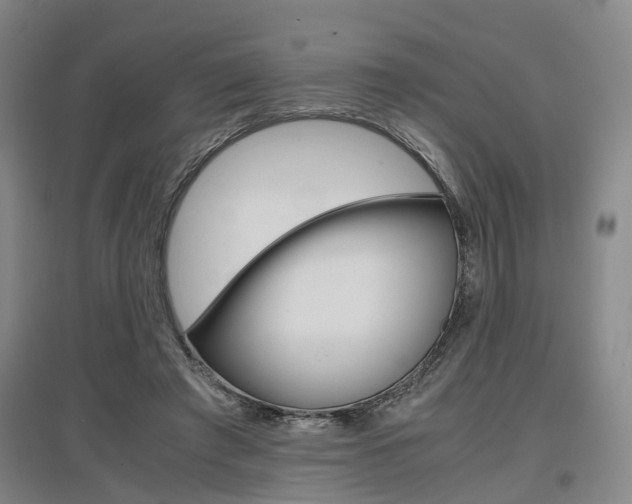 X0000097460401200802220811
