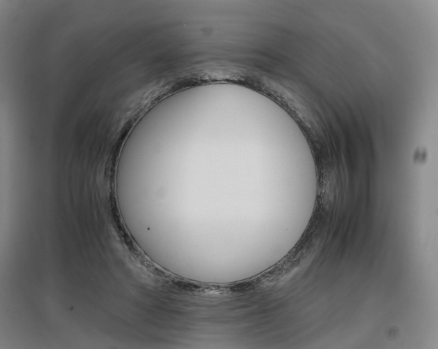 X0000097460402200802220811