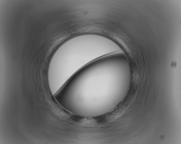 X0000097460403200802220811
