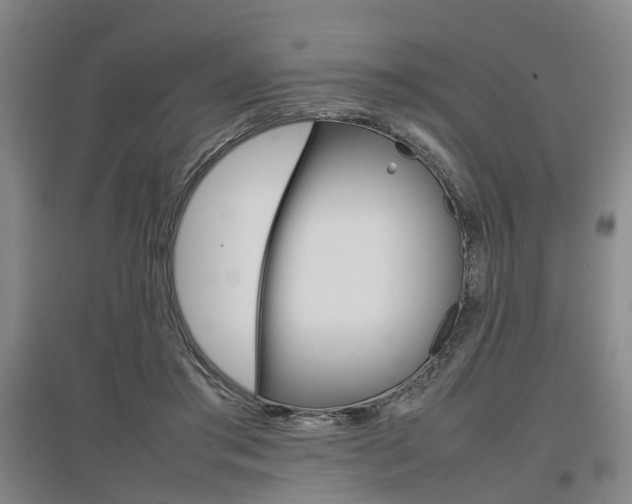 X0000097460405200802220811