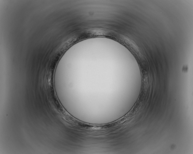 X0000097460406200802220811