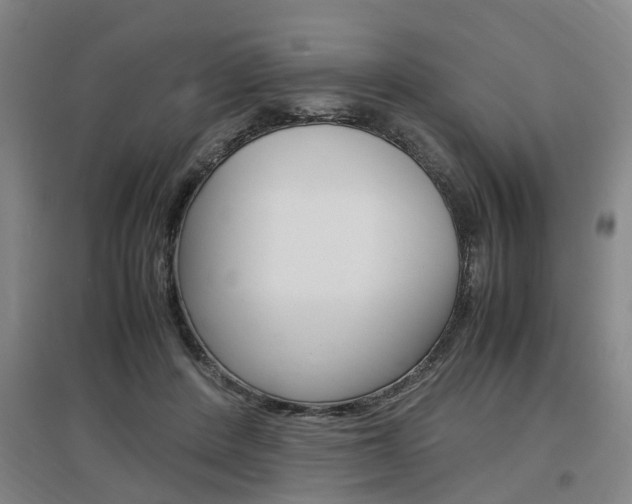 X0000097460408200802220811