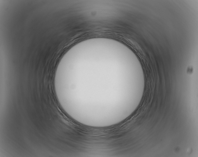 X0000097460409200802220811
