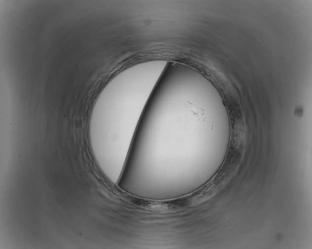 X0000097460413200802220811