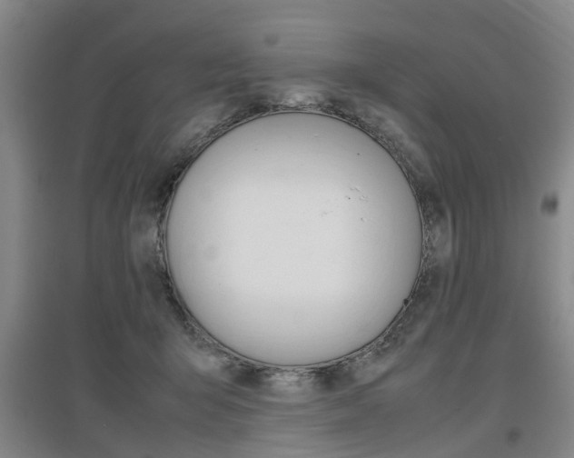 X0000097460415200802220811