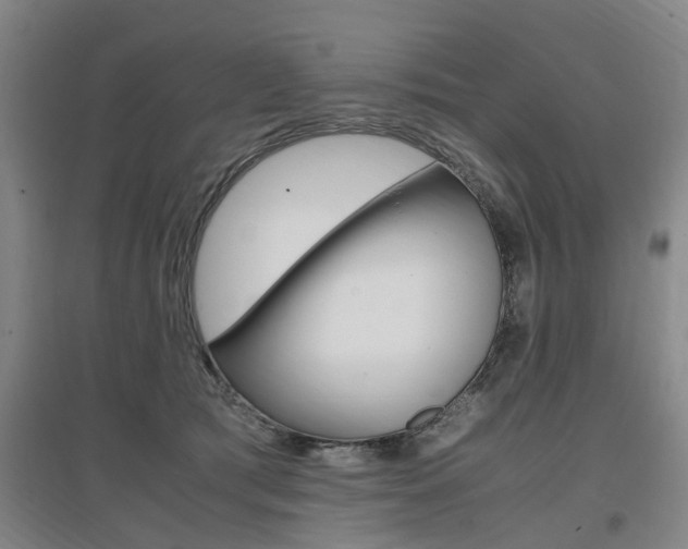 X0000097460417200802220811
