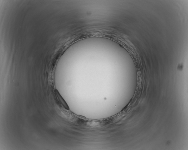 X0000097460419200802220811