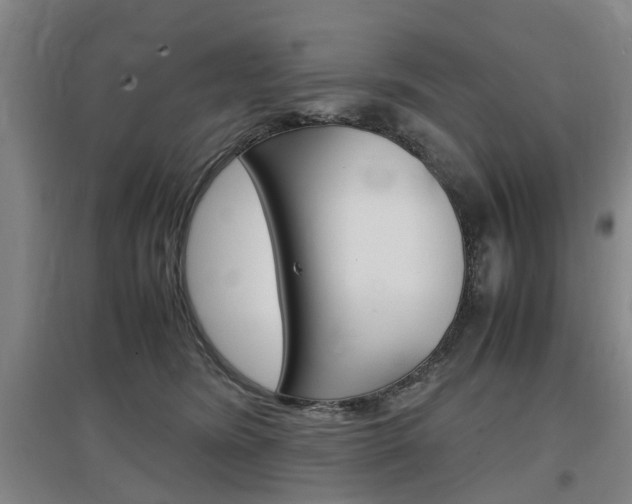 X0000097460420200802220811