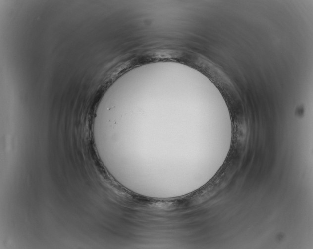 X0000097460422200802220811
