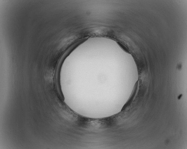 X0000097460423200802220811