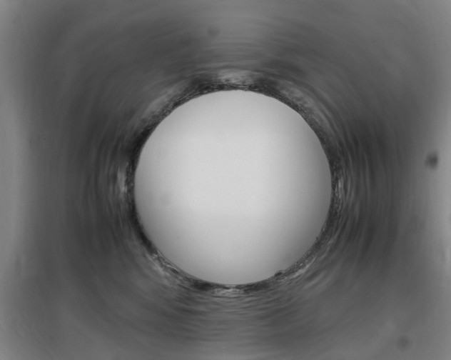 X0000097460424200802220811