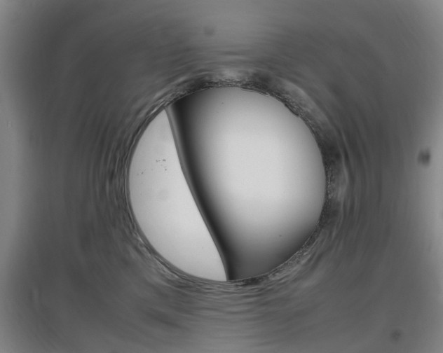 X0000097460425200802220811