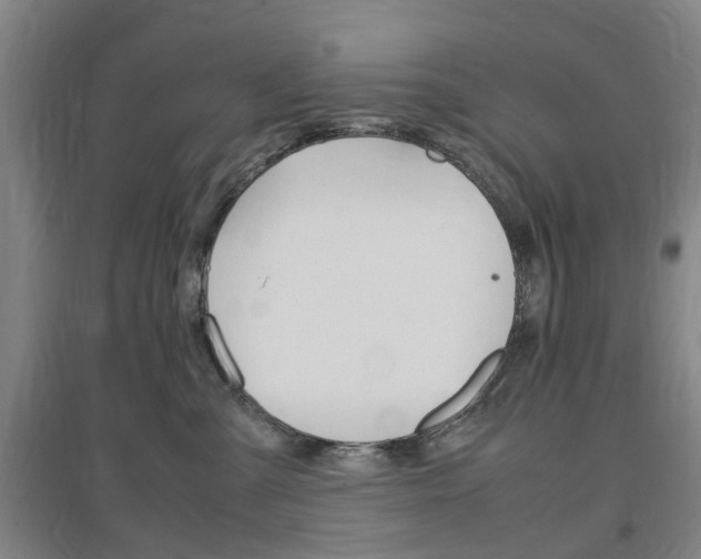 X0000097460427200802220811