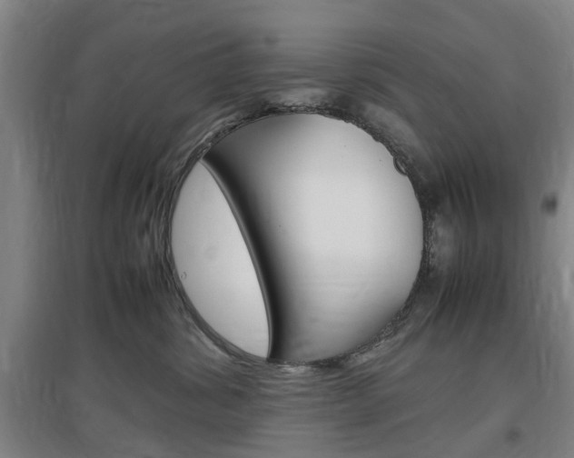 X0000097460428200802220811