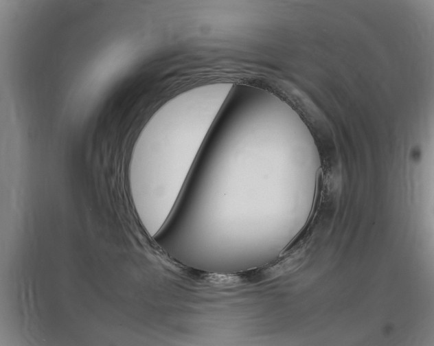 X0000097460429200802220811