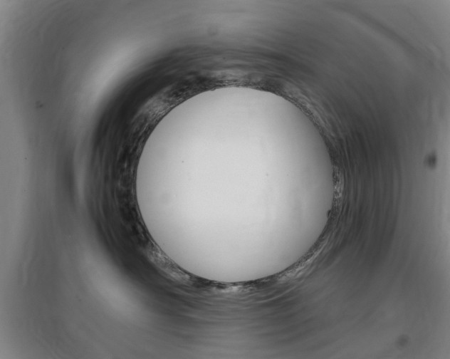 X0000097460430200802220811