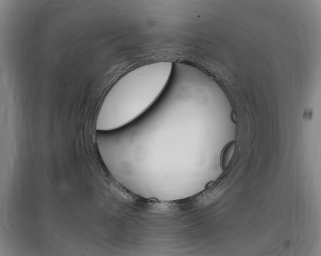X0000097460432200802220811