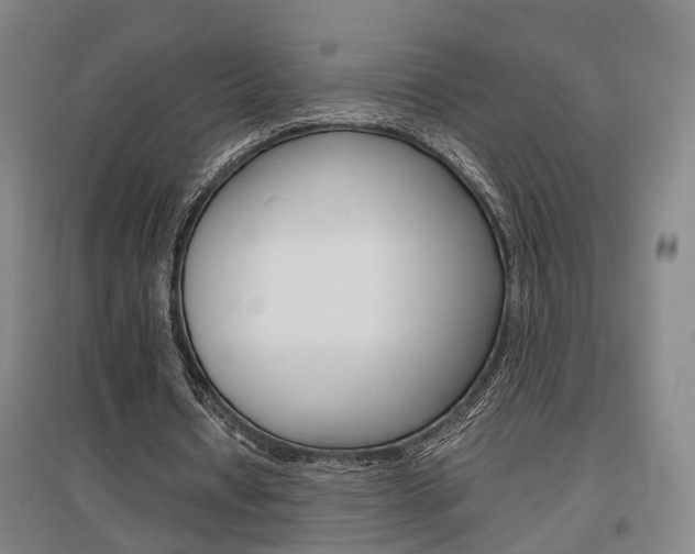 X0000097460434200802220810
