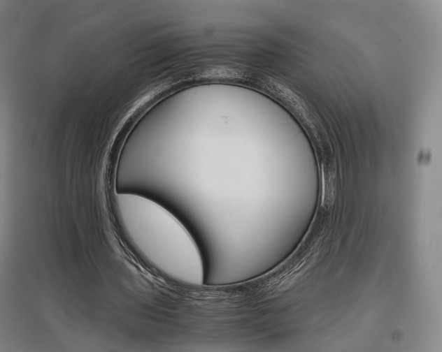X0000097460435200802220810