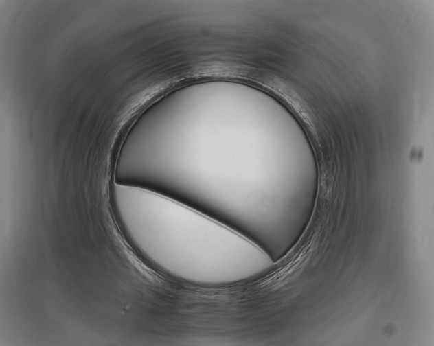 X0000097460437200802220810