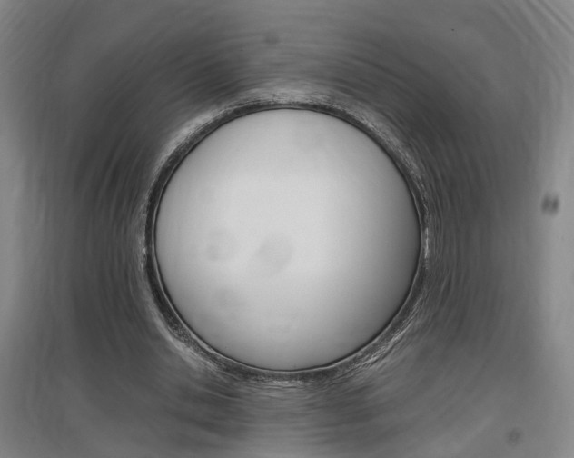 X0000097460438200802220810