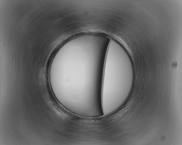 X0000097460439200802220810