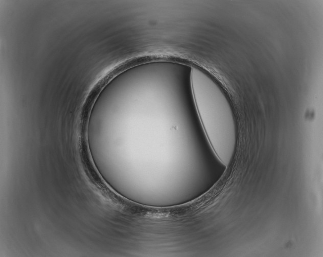 X0000097460440200802220810
