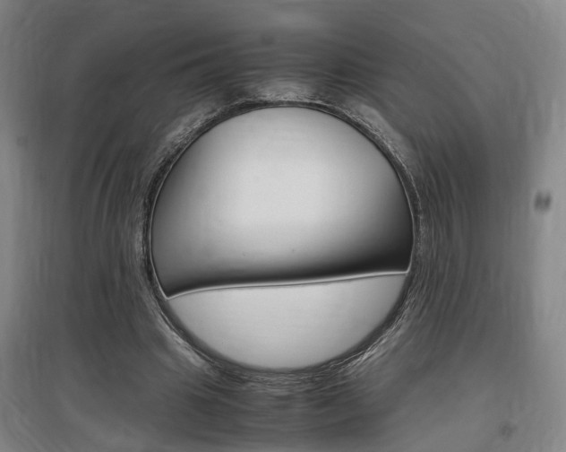 X0000097460441200802220810
