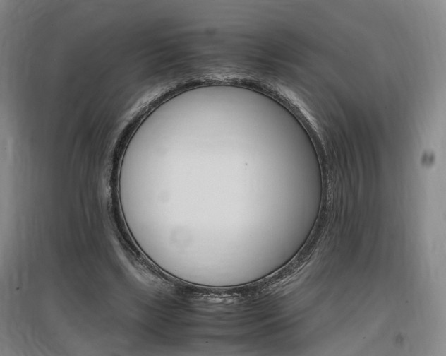 X0000097460443200802220810