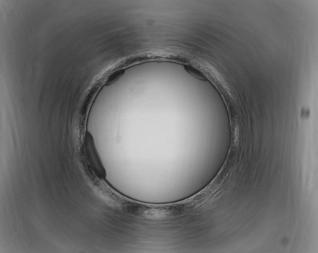 X0000097460444200802220810
