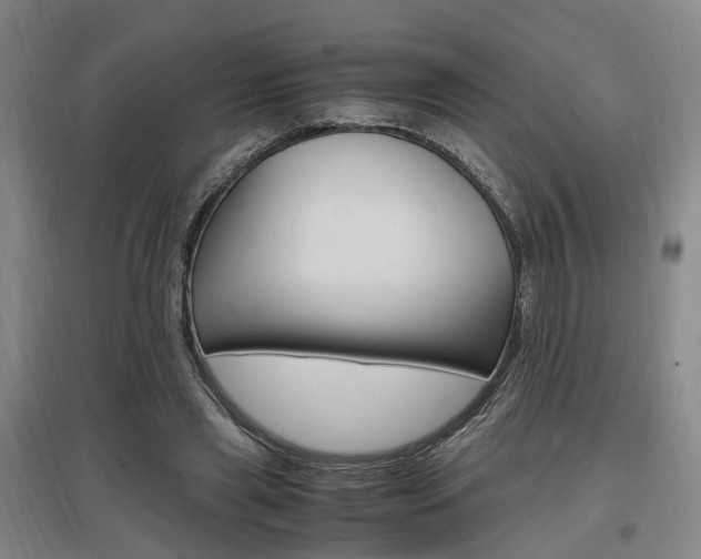 X0000097460445200802220810