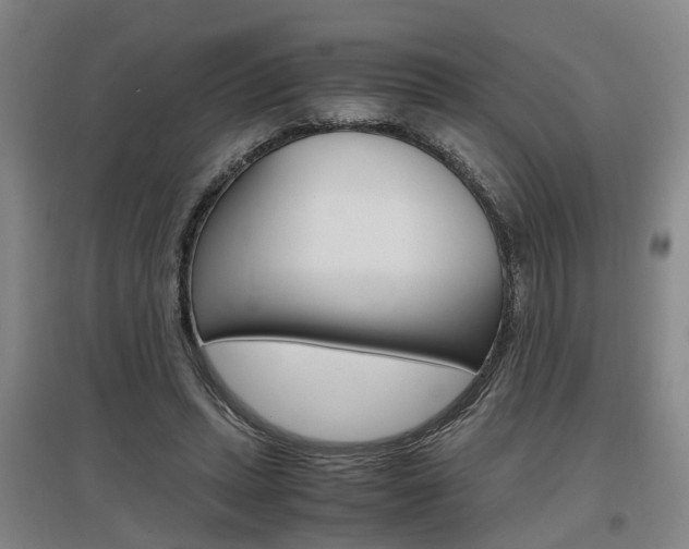 X0000097460447200802220810