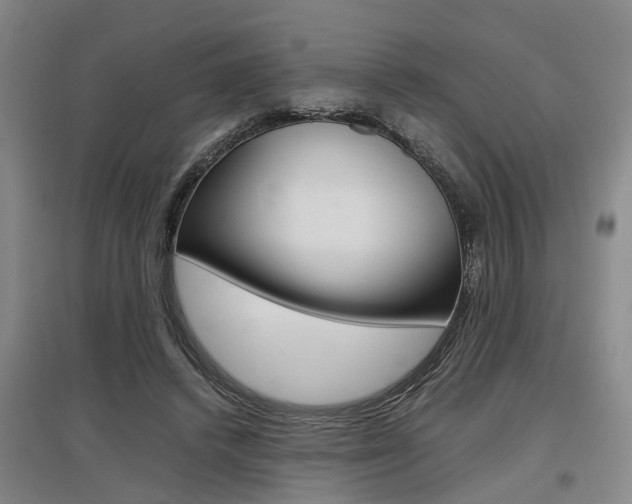 X0000097460448200802220810