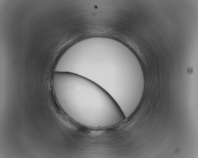 X0000097460450200802220810