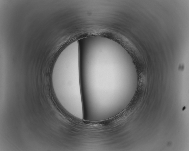 X0000097460452200802220810