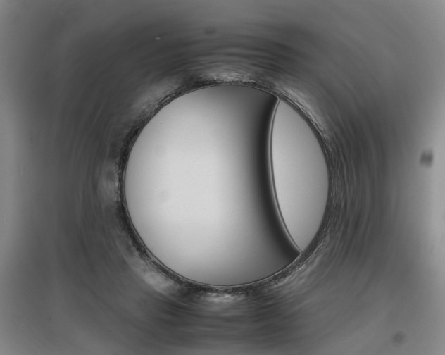 X0000097460453200802220810