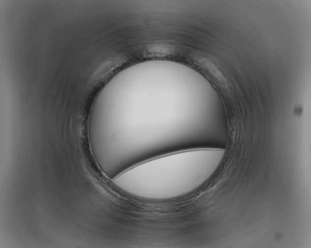 X0000097460455200802220810