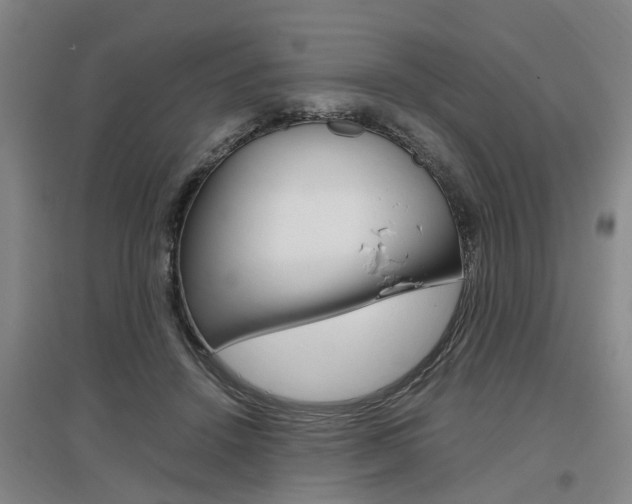 X0000097460456200802220810