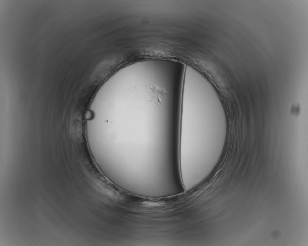 X0000097460457200802220810
