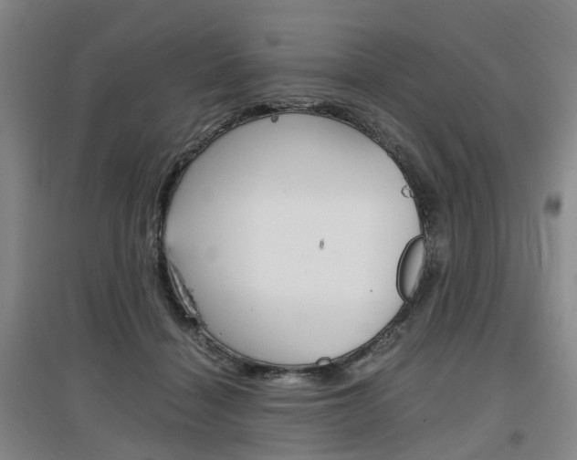 X0000097460460200802220810