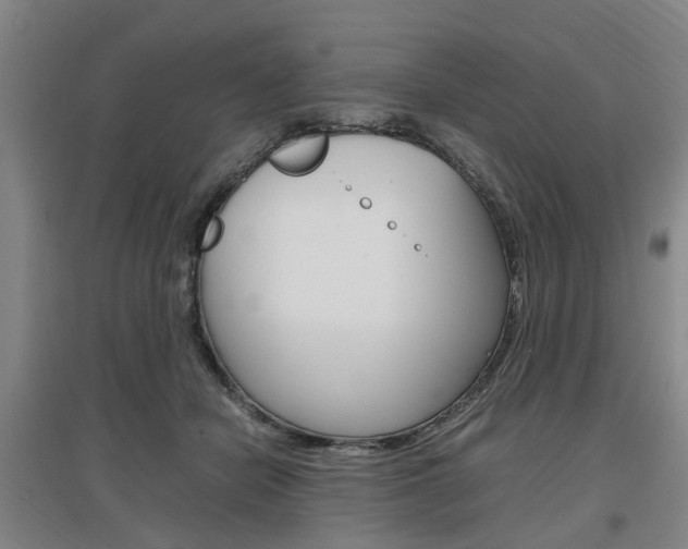 X0000097460462200802220810